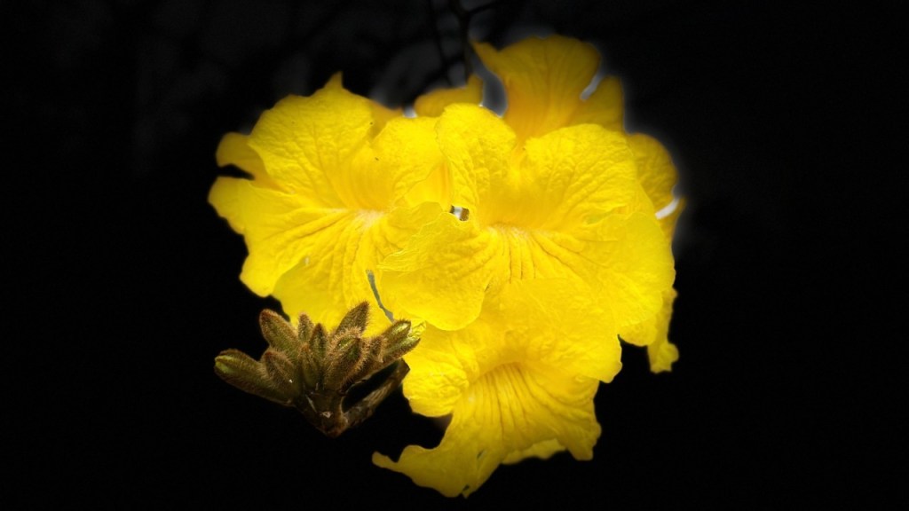 人工智慧大型語言模型（LLM）的邊界（一個想法） Boundaries of AI LLM ( An&nbsp;idea)