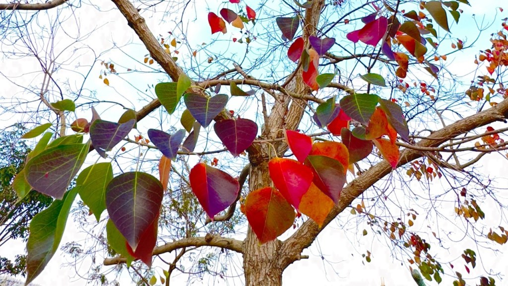 代理者：一種語言遊戲 AI agent: A&nbsp;language-game