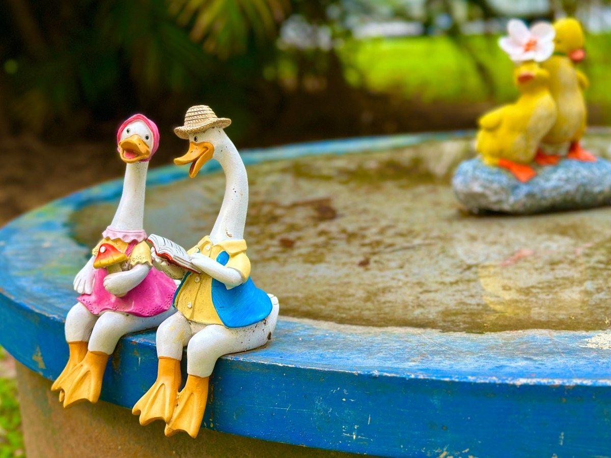 開放 vs 封閉：從生成式 AI 論戰談到異質晶片溝通的未來挑戰 Open vs. Closed: From the Generative AI Debate to the Future Challenges of Heterogeneous Chip&nbsp;Communication