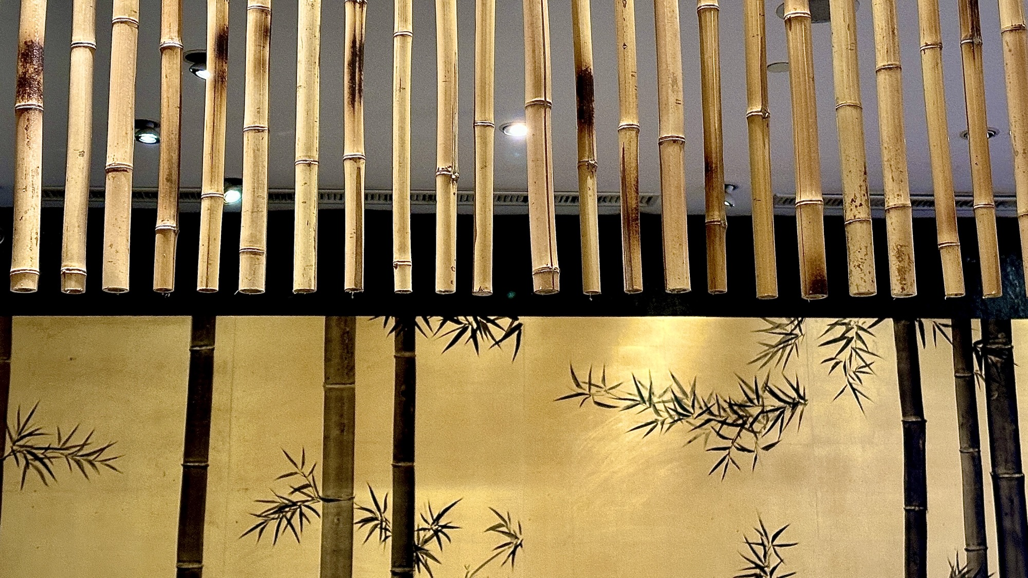 Bamboo and Shadow: On the Unbridgeable Gulf of Physical  竹與影：論物理AI 的不可逾越之溝