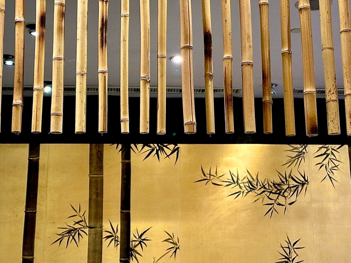 Bamboo and Shadow: On the Unbridgeable Gulf of Physical 竹與影：論物理AI&nbsp;的不可逾越之溝